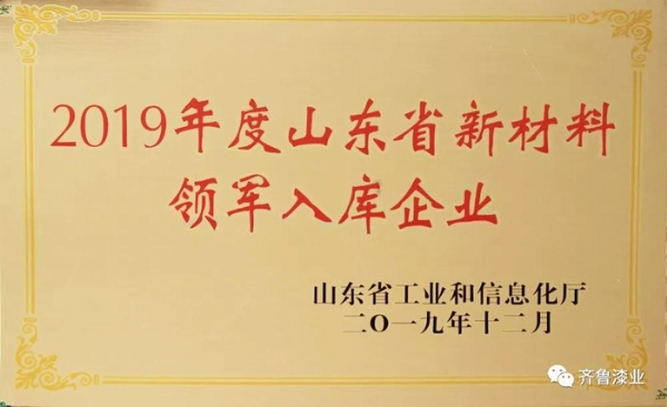 再傳捷報：蘑菇视频动漫版下载免费观看漆業榮膺山東省新材料領軍入庫企業